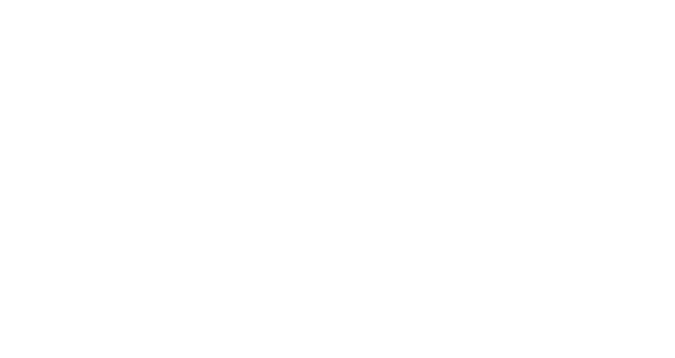 Pique Investments